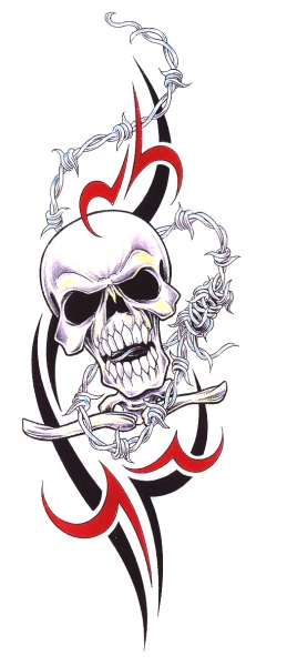 Card image cap